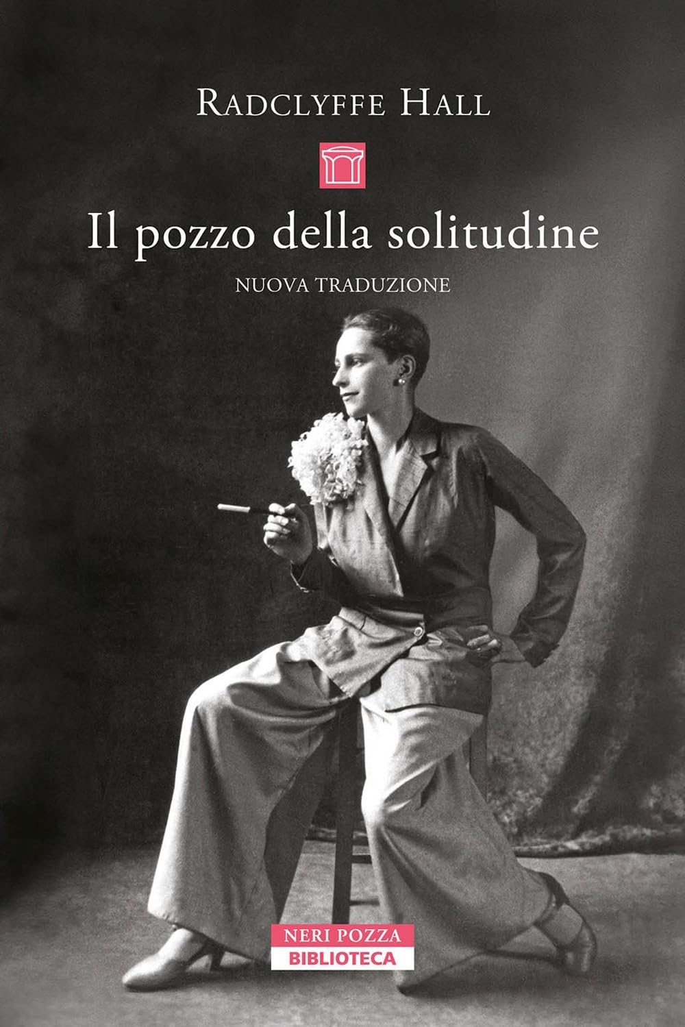 Product Image: Il pozzo della solitudine