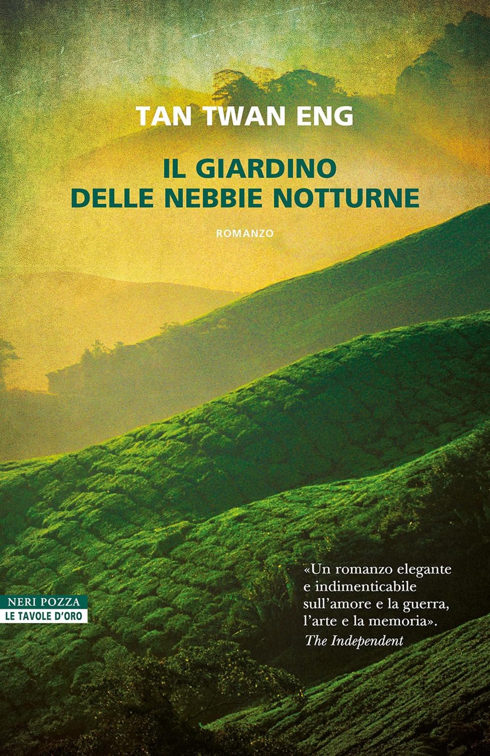 Il giardino delle nebbie notturne book