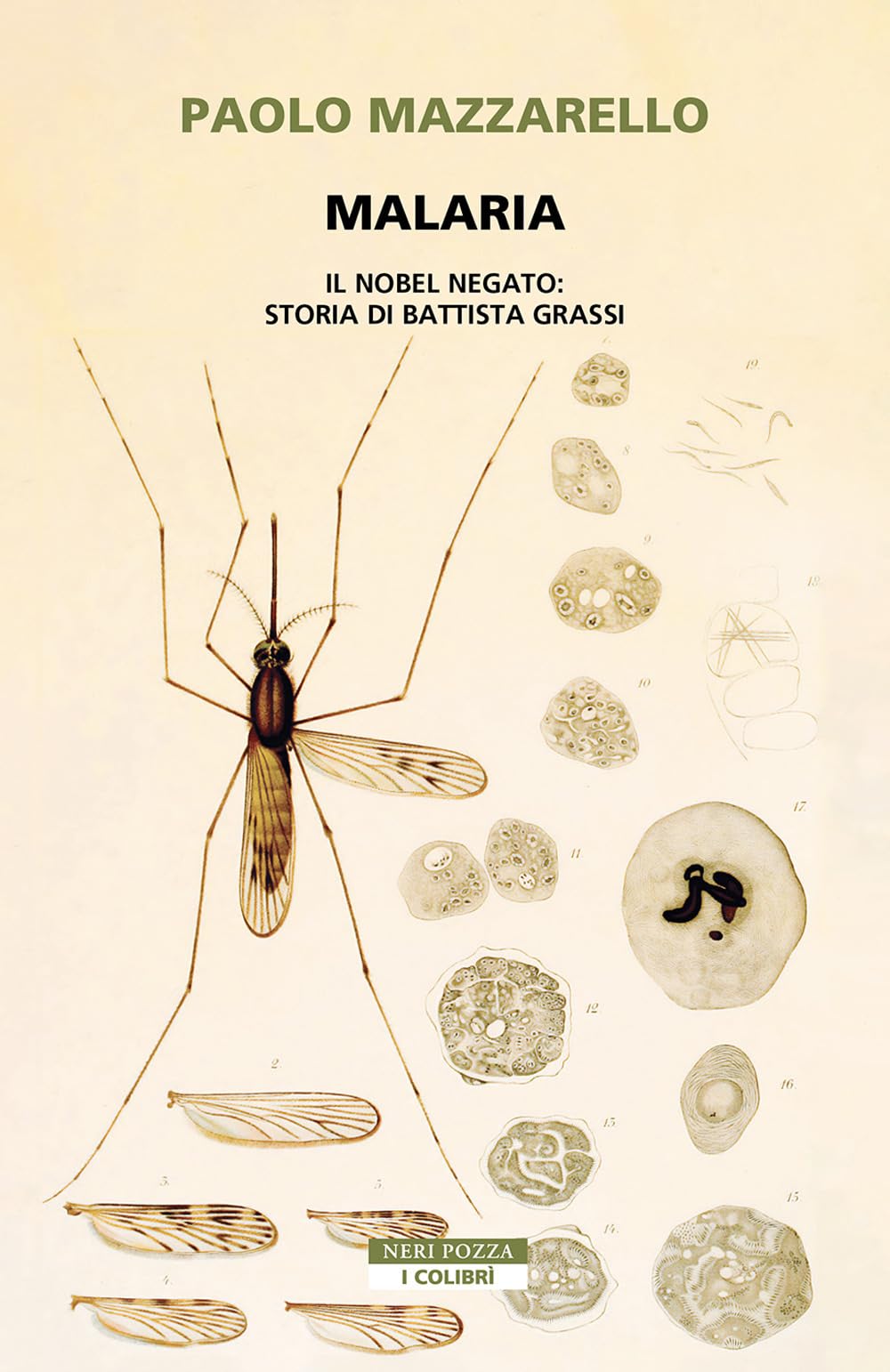 Malaria. Il Nobel negato: storia di Battista Grassi Medicine
