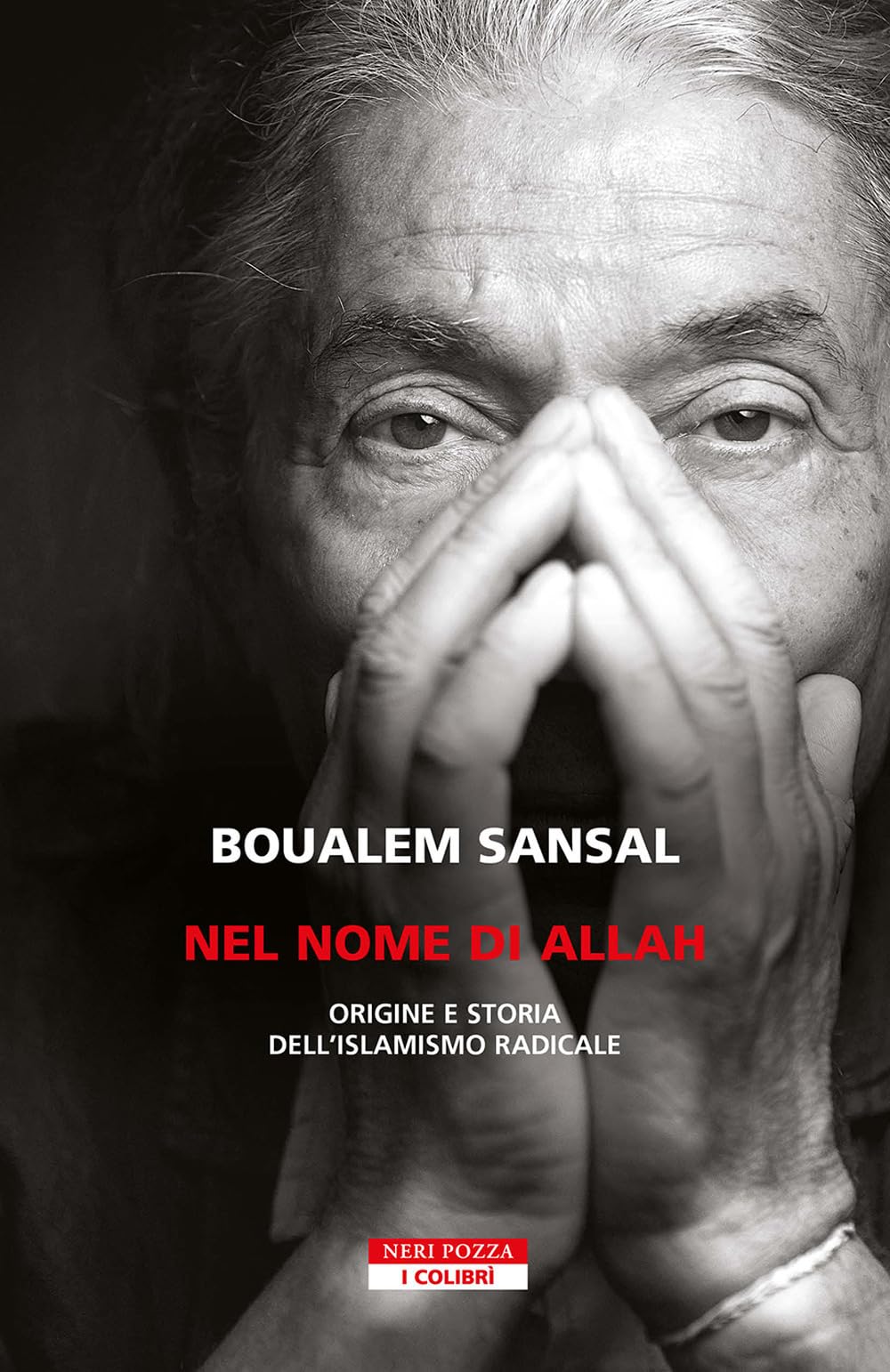 Nel nome di Allah. Origine e storia dell'islamismo radicale. Nuova ediz. book