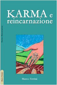 Karma e reincarnazione. Come le scelte generano il nostro futuro book