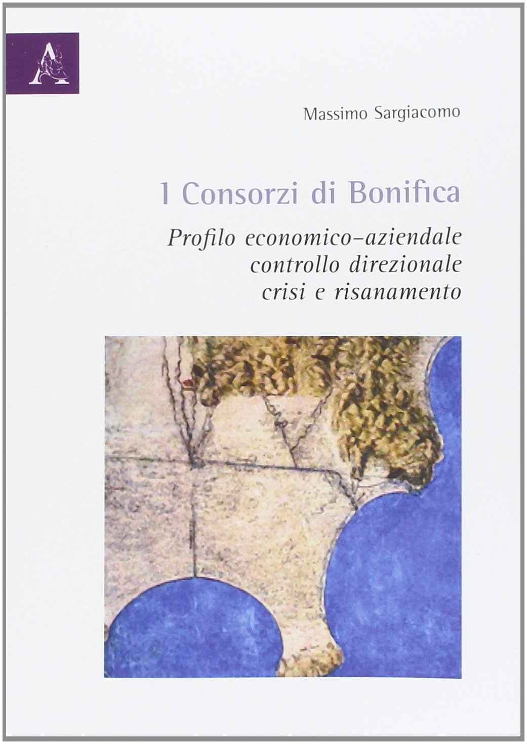 I consorzi di bonifica. Profilo economico-aziendale, controllo direzionale, crisi e risanamento book