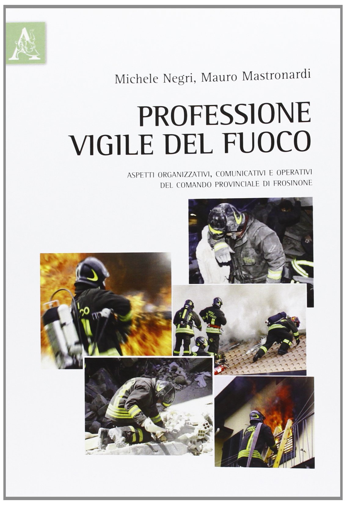 Professione vigile del fuoco. Aspetti organizzativi, comunicativi e operativi del comando provinciale di Frosinone book