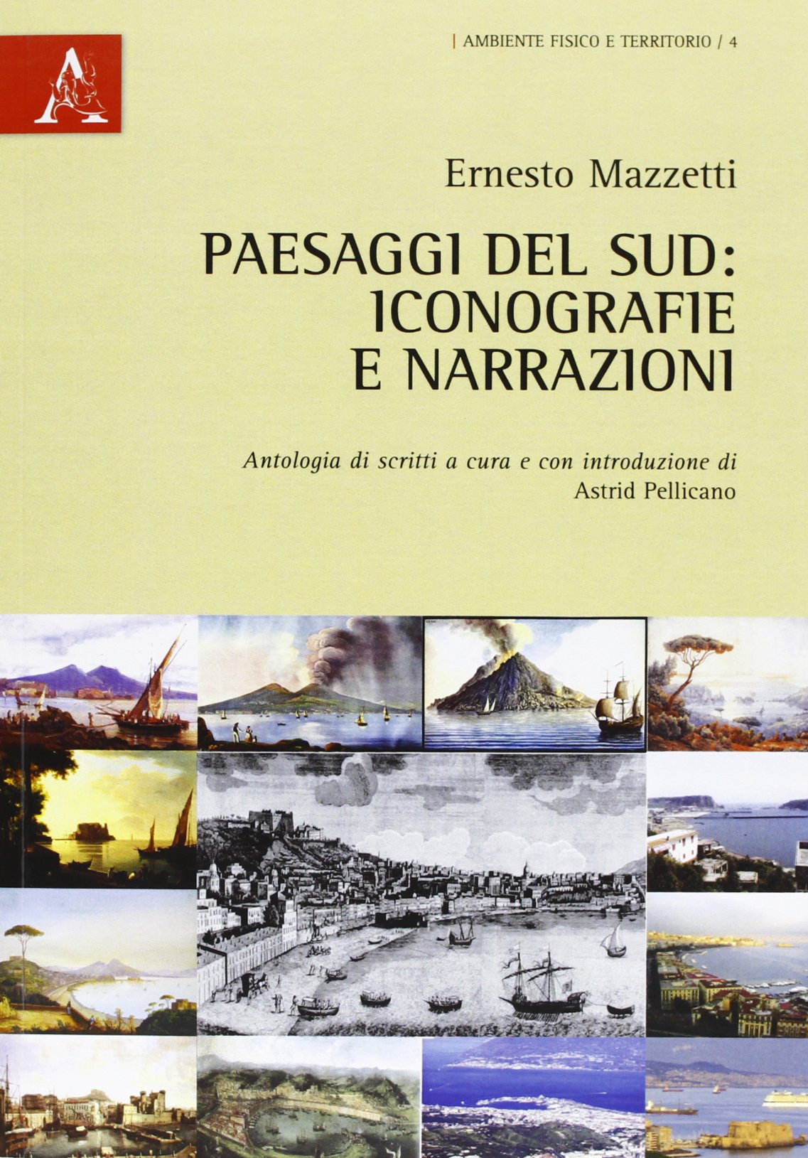 Paesaggi del Sud. Iconografie e narrazioni book