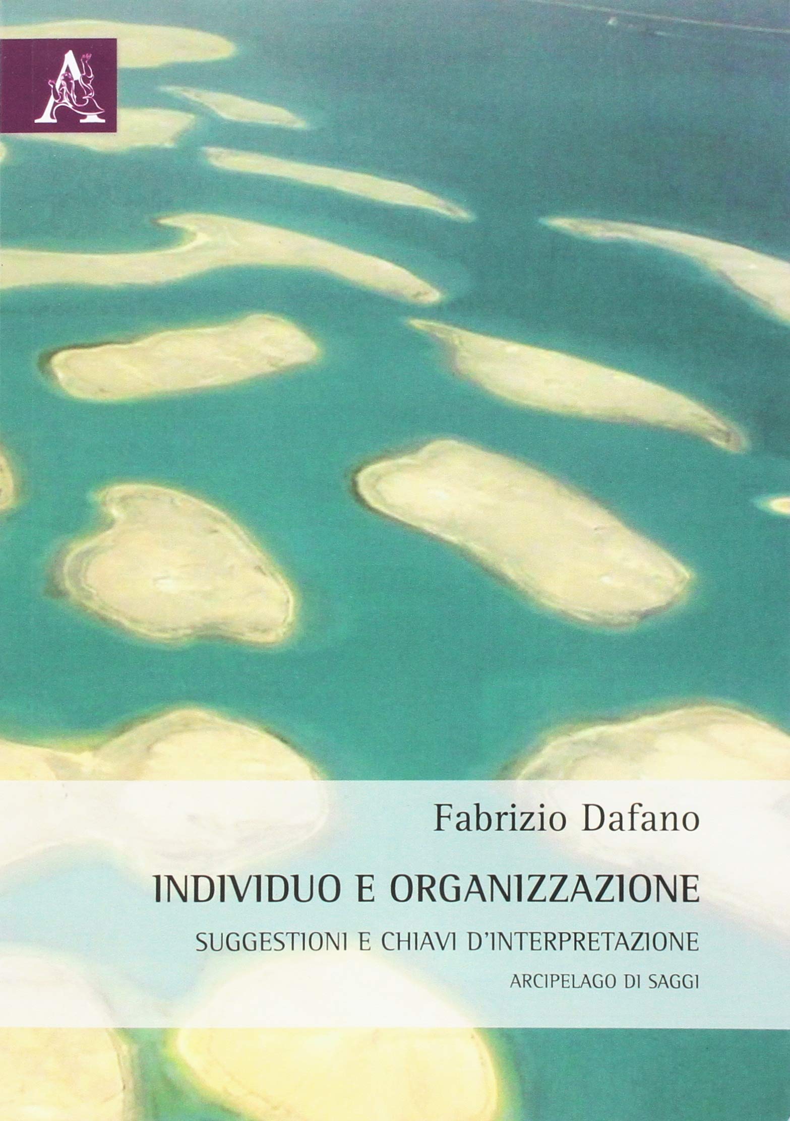 Individuo e organizzazione. Suggestioni e chiavi d'interpretazione. Arcipelago di saggi book