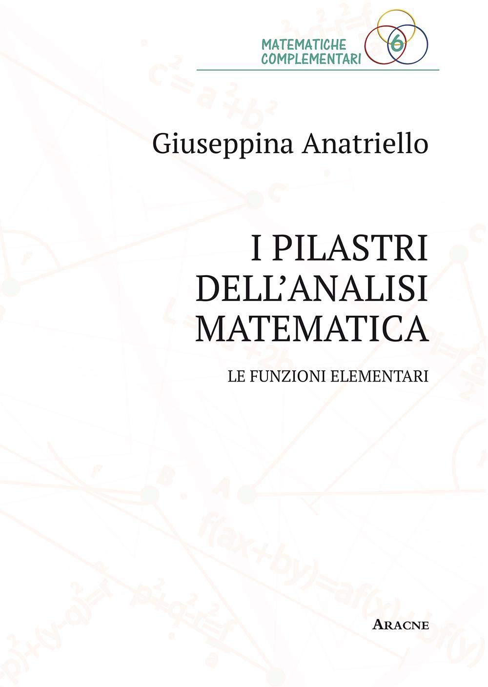 I Pilastri Dell'Analisi Matematica book