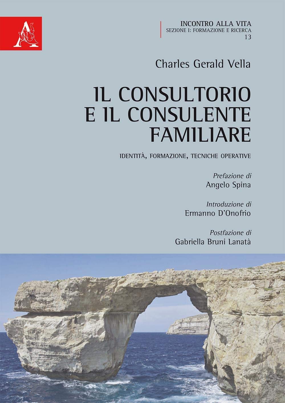 Il consultorio e il consulente familiare: IDENTITÀ, FORMAZIONE, TECNICHE OPERATIVE book