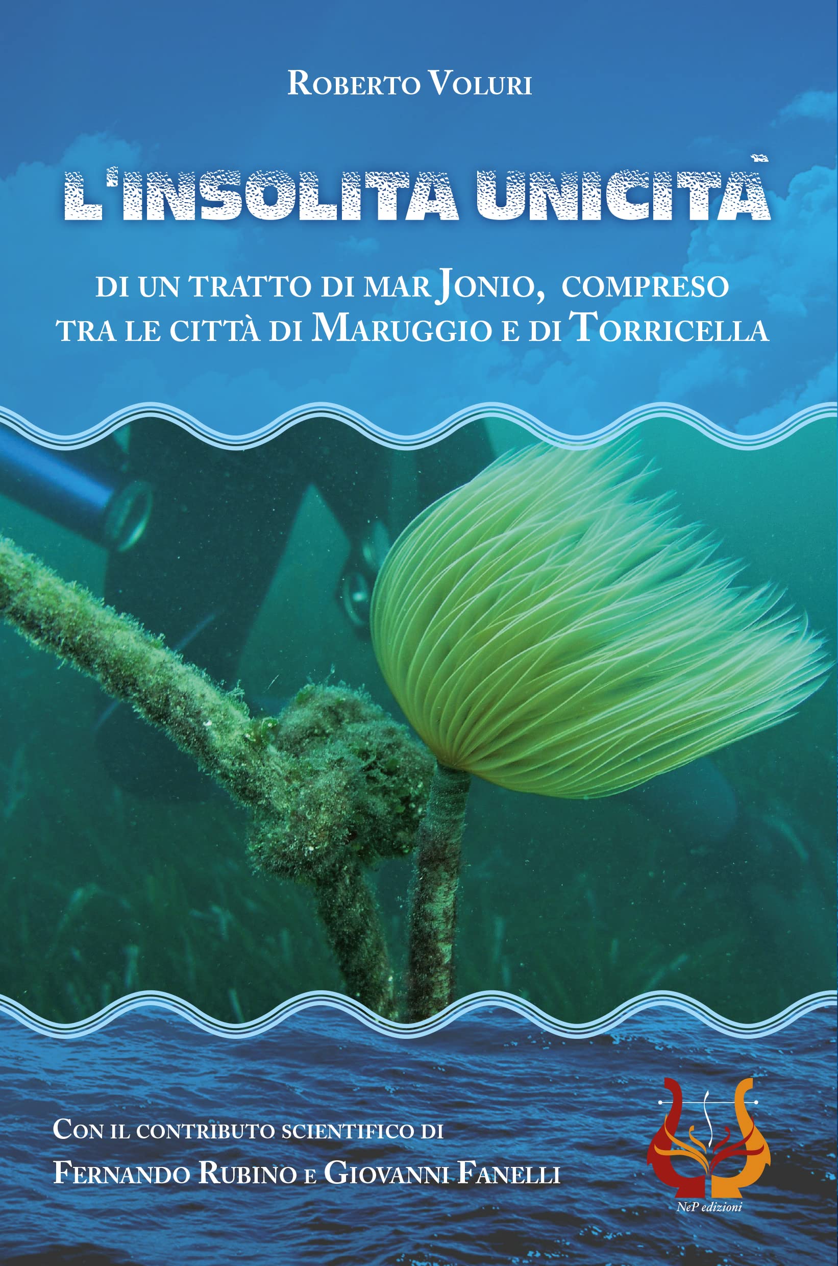 L'insolita unicità di un tratto di Mar Jonio, compreso tra le città di Maruggio e di Torricella. Con Cassetta audio Contemporary literature