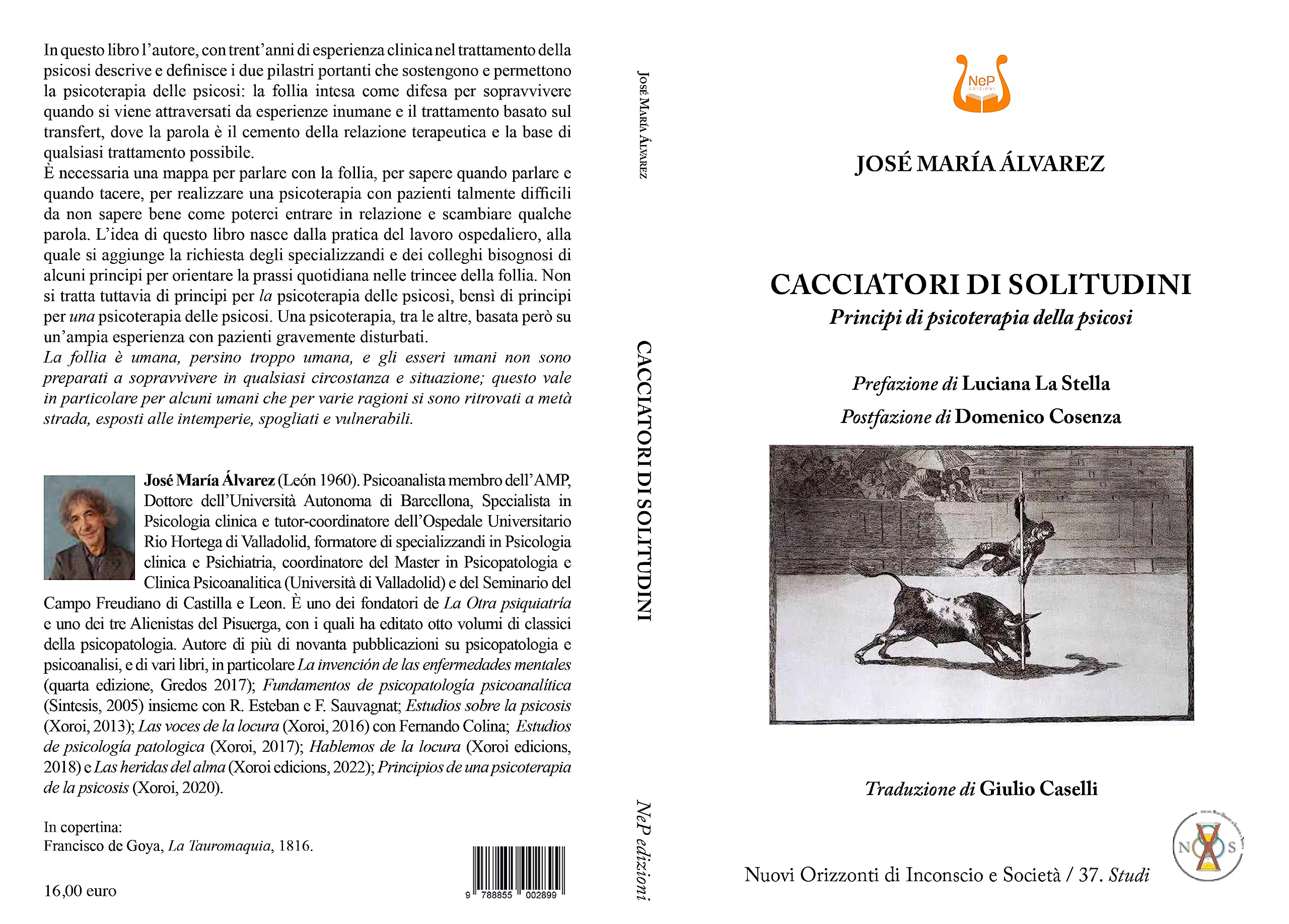 Cacciatori di solitudini. Principi di psicoterapia della psicosi book