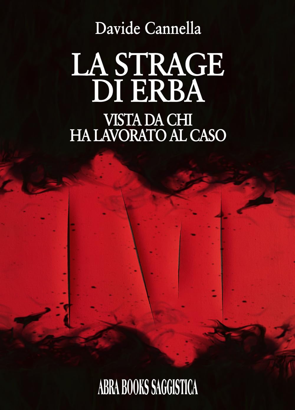 La strage di Erba, vista da chi ha lavorato al caso book
