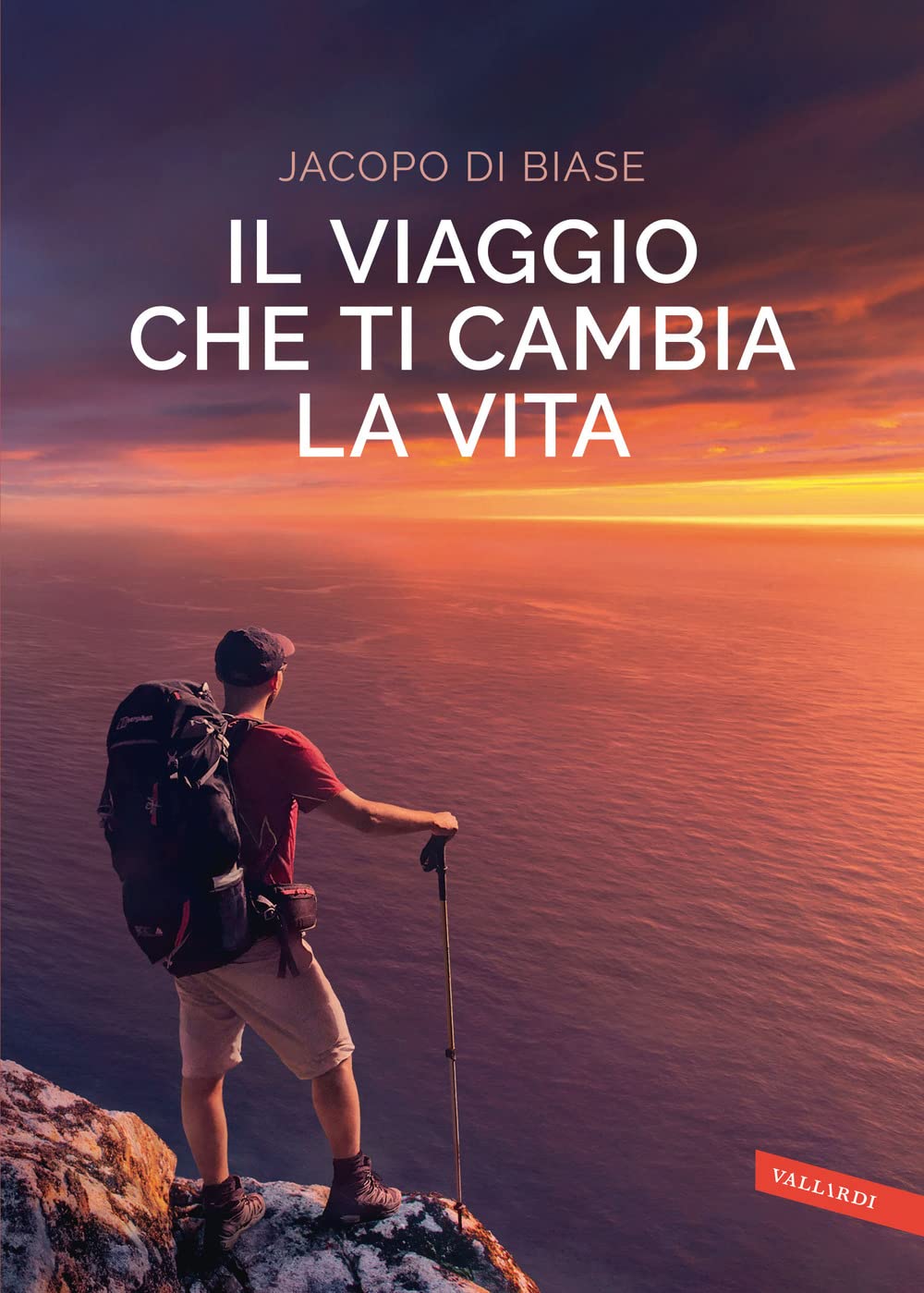 Il viaggio che ti cambia la vita book