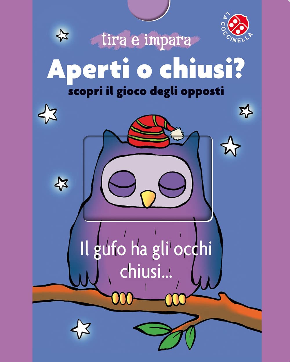 Aperti o chiusi? Scopri il gioco degli opposti. Ediz. a colori book