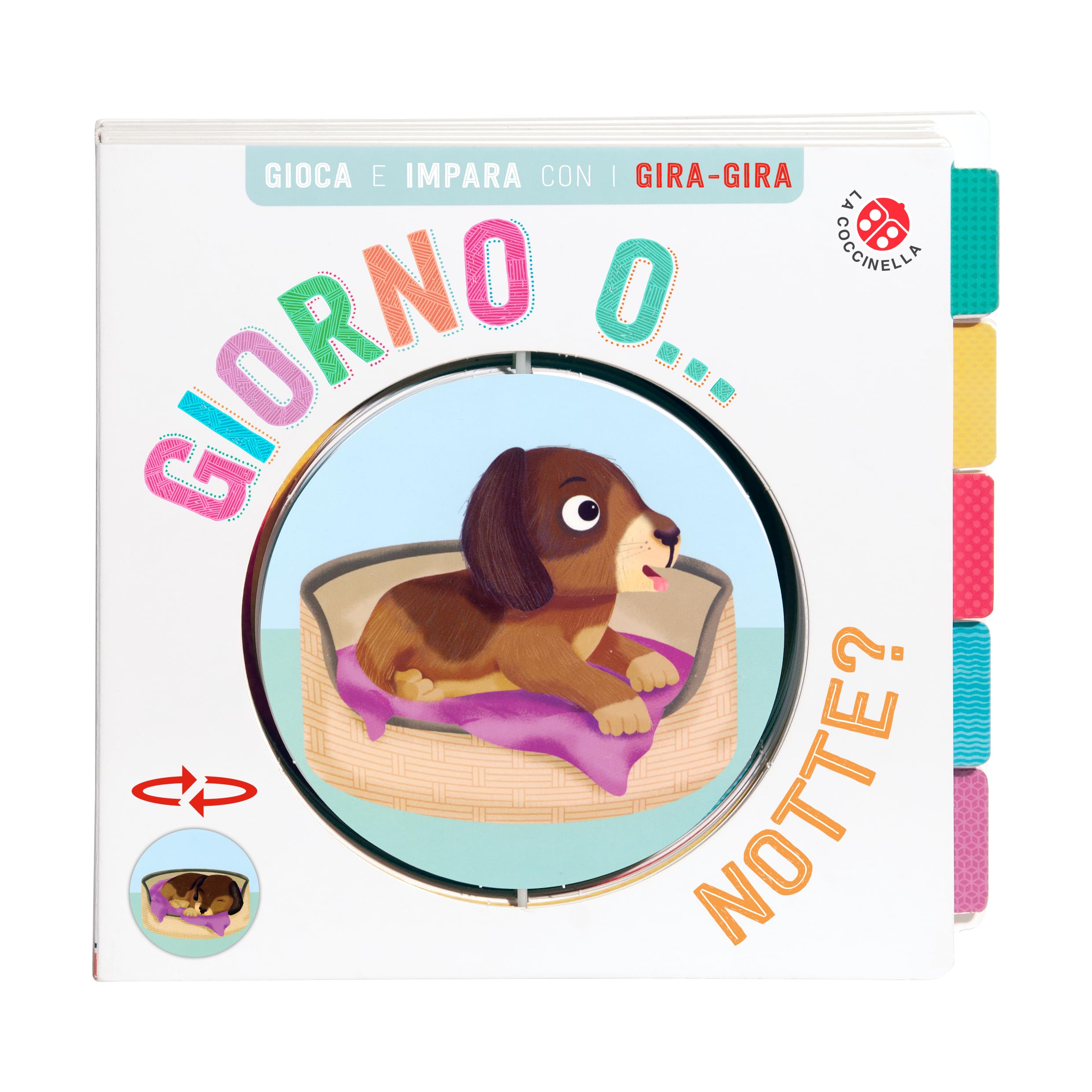 Giorno o... Notte? Gira gira. Ediz. a colori Non-fiction
