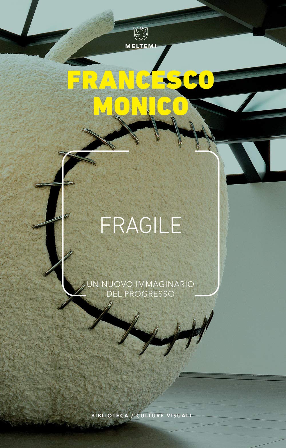 Fragile. Un nuovo immaginario del progresso book