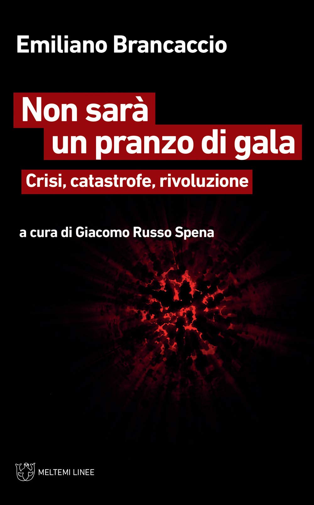 Non sarà un pranzo di gala. Crisi, catastrofe, rivoluzione book