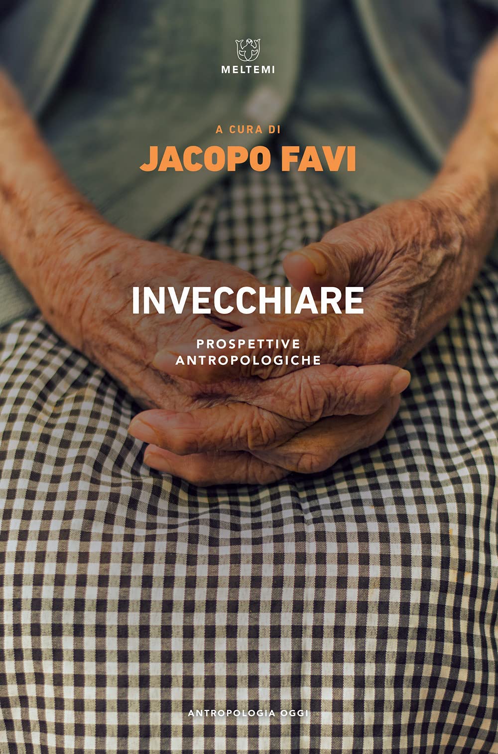 Invecchiare. Prospettive antropologiche (Antropologia e cultura pubblica) Social Sciences
