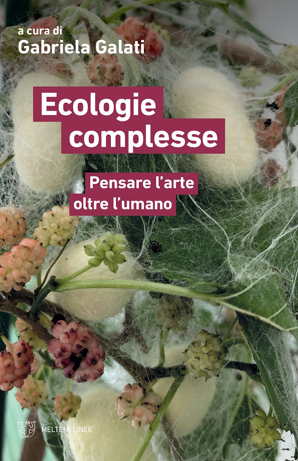 Ecologie complesse. Pensare l'arte oltre l'umano book