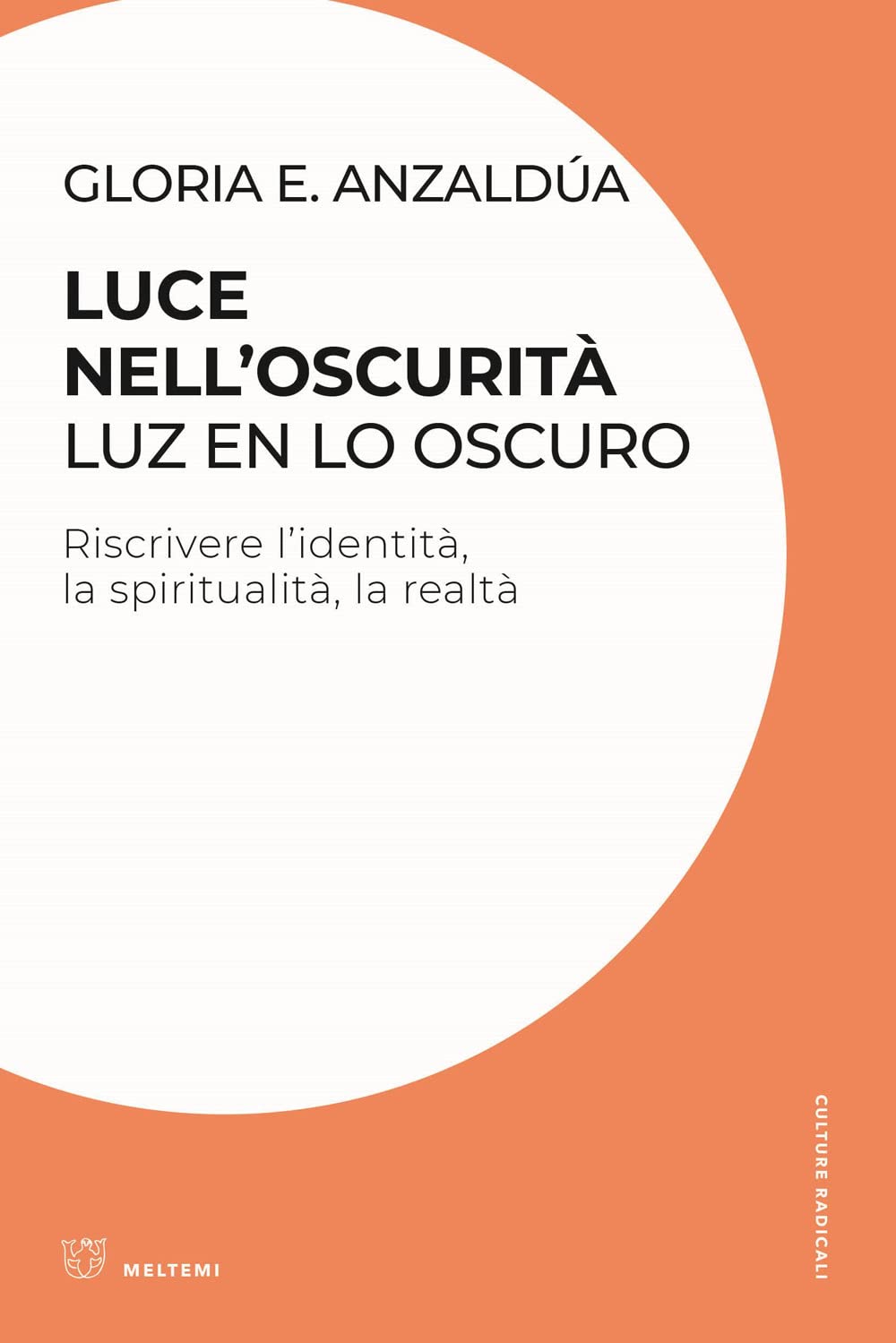 Luce nell'oscurità/Luz en lo oscuro. Riscrivere l'identità, la spiritualità, la realtà book