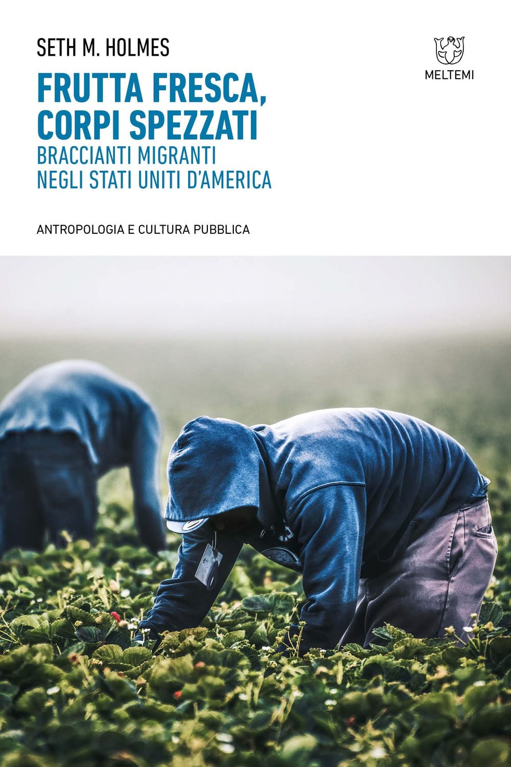 Frutta fresca, corpi spezzati. Braccianti migranti negli Stati Uniti d’America book