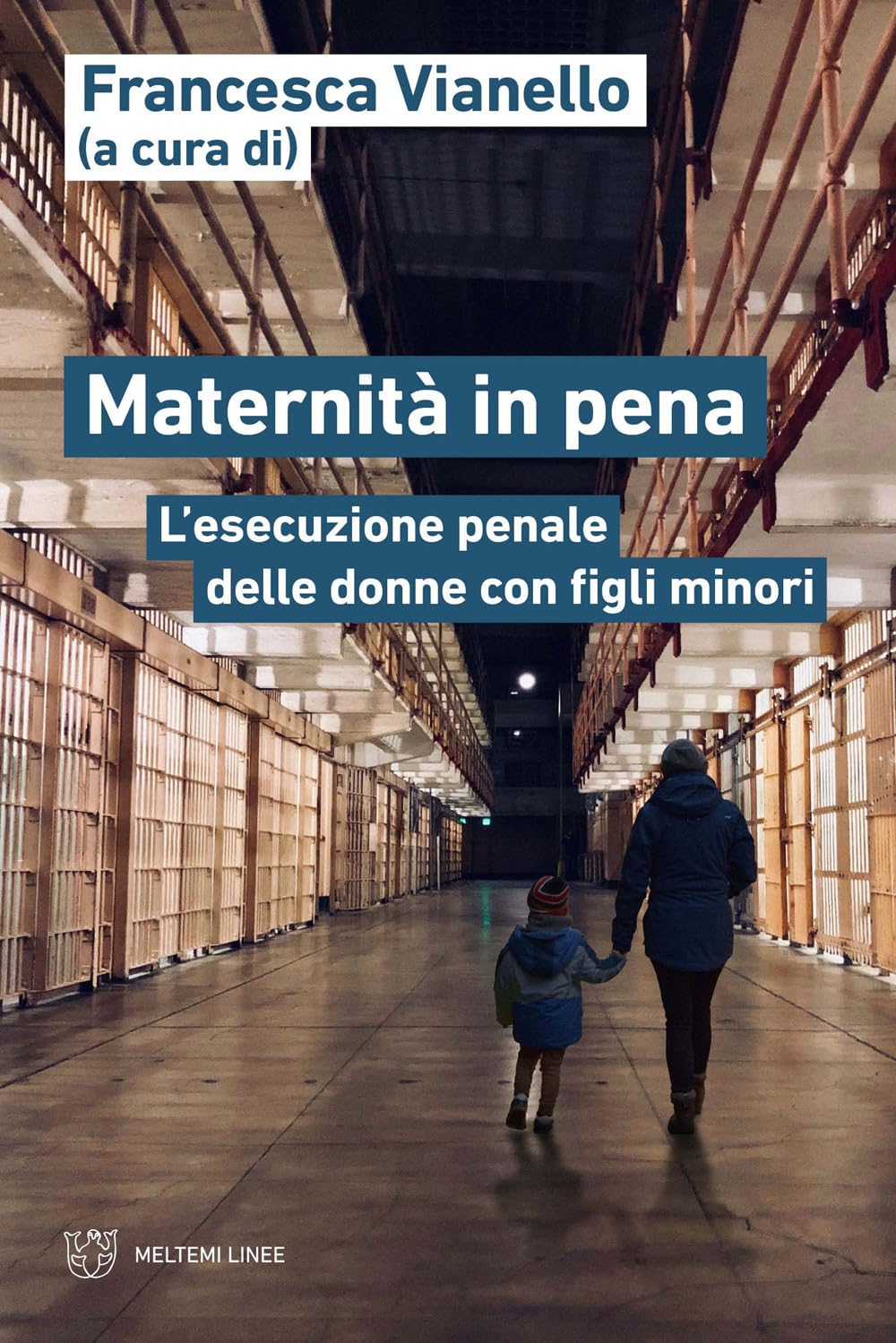 Maternità in pena. L'esecuzione penale delle donne con figli minori book