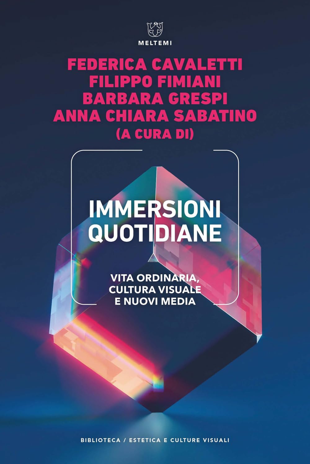 Immersioni quotidiane. Vita ordinaria, cultura visuale e nuovi media book