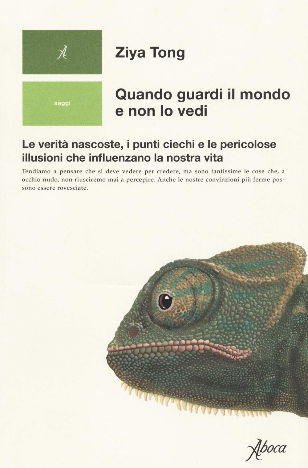 Quando guardi il mondo e non lo vedi. Le verità nascoste, i punti ciechi e le pericolose illusioni che influenzano la nostra vita Professional & Reference Books