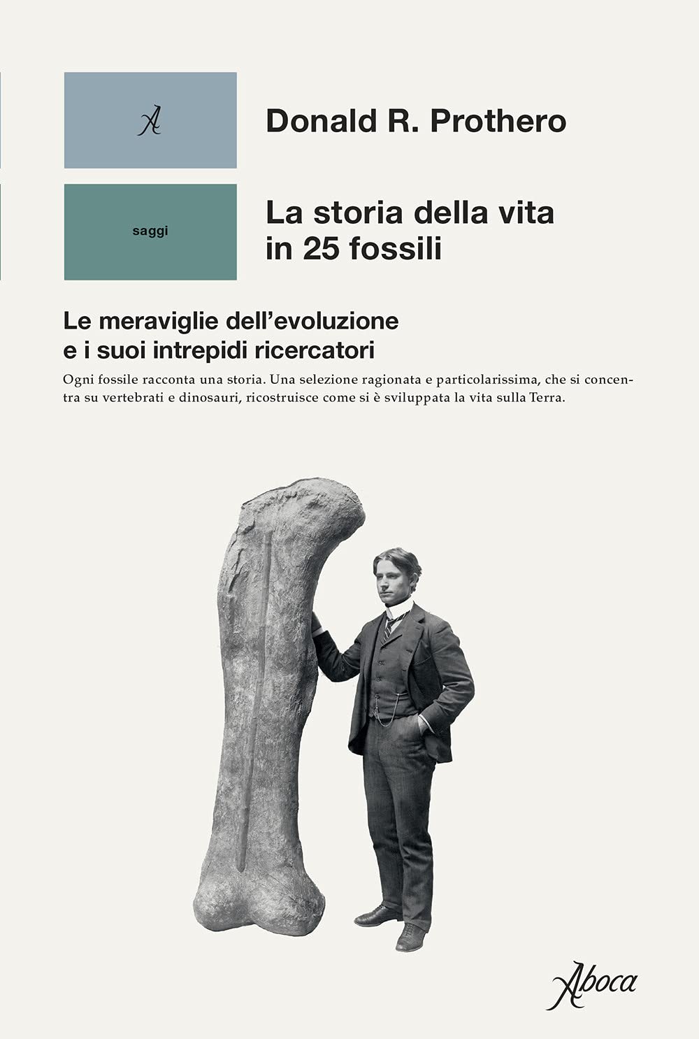 La storia della vita in 25 fossili. Le meraviglie dell'evoluzione e i suoi intrepidi ricercatori Geology & Geography