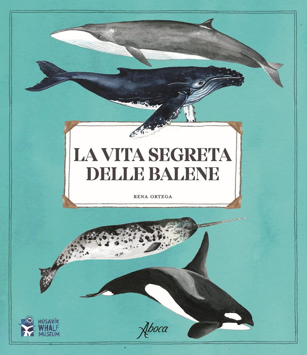 La vita segreta delle balene Non-fiction