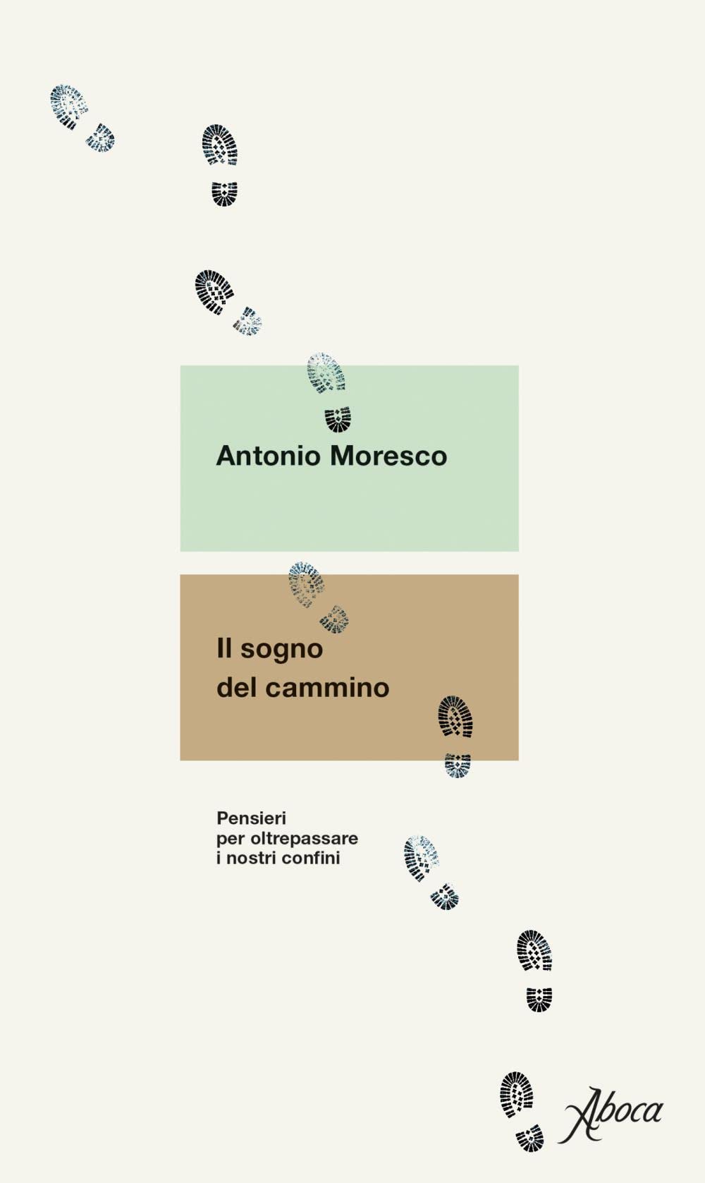 Il sogno del cammino. Pensieri per oltrepassare i nostri confini Contemporary literature