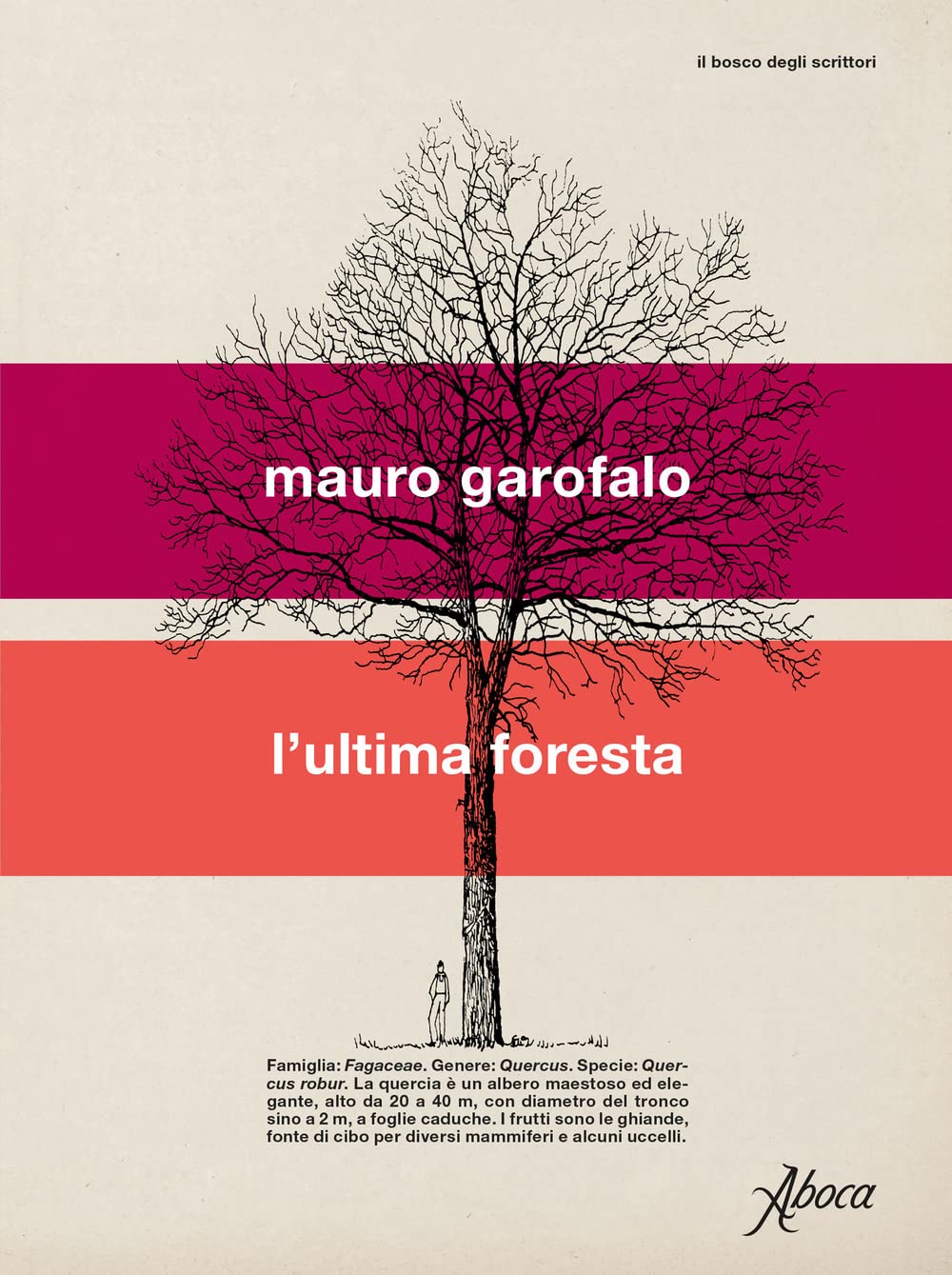 L'ultima foresta (Il bosco degli scrittori) Contemporary literature
