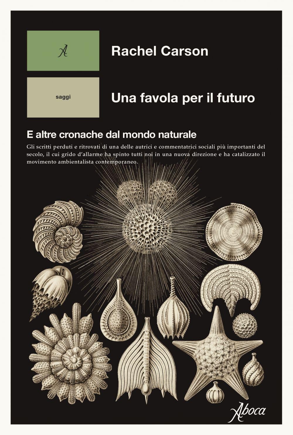 Una favola per il futuro. E altre cronache dal mondo naturale Mathematics