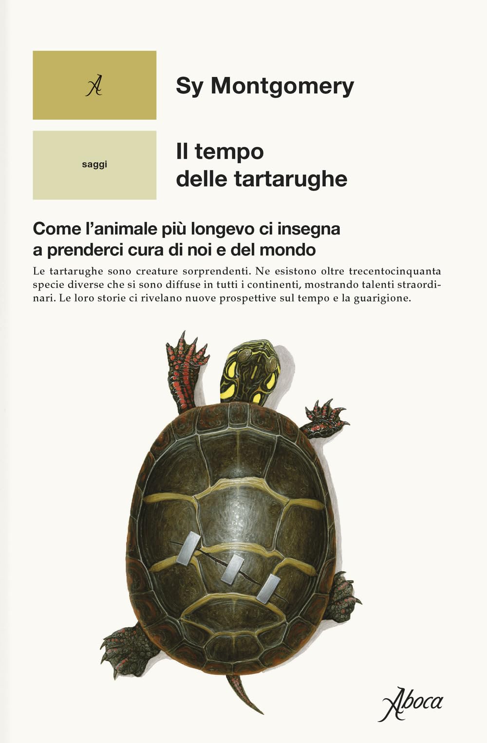 Il tempo delle tartarughe. Come l’animale più longevo ci insegna a prenderci cura di noi e del mondo (Saggi) Mathematics