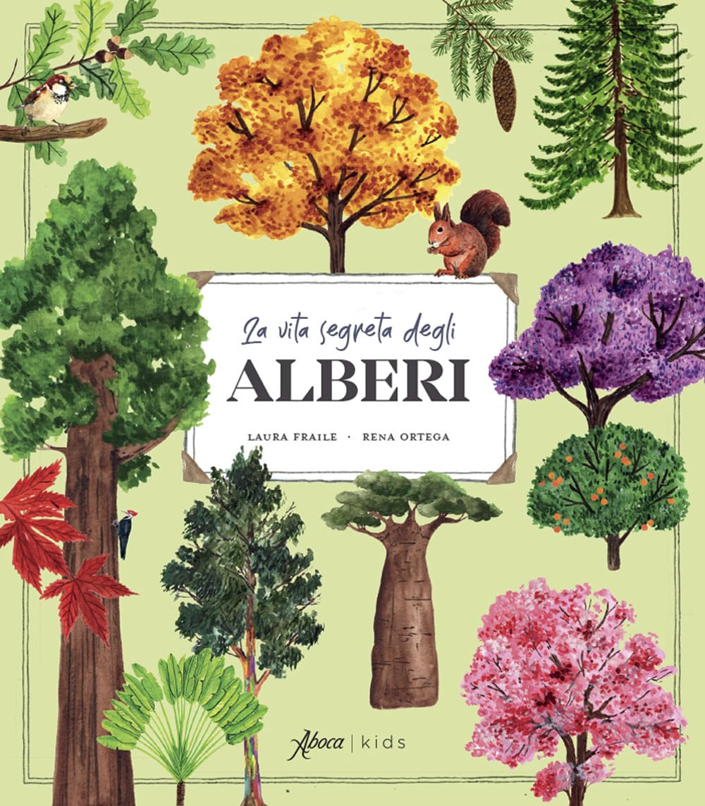 La vita segreta degli alberi. Ediz. illustrata book