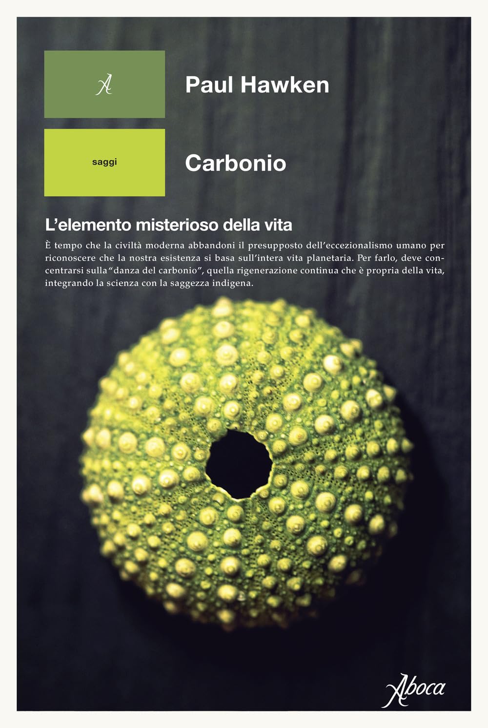 Carbonio. L'elemento misterioso della vita book