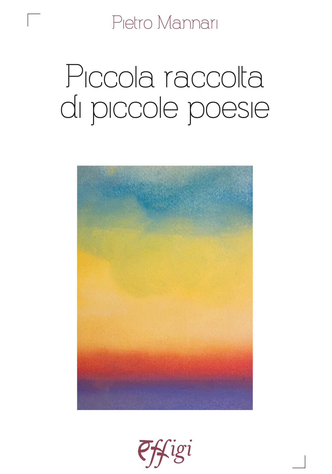 Piccola raccolta di piccole poesie book