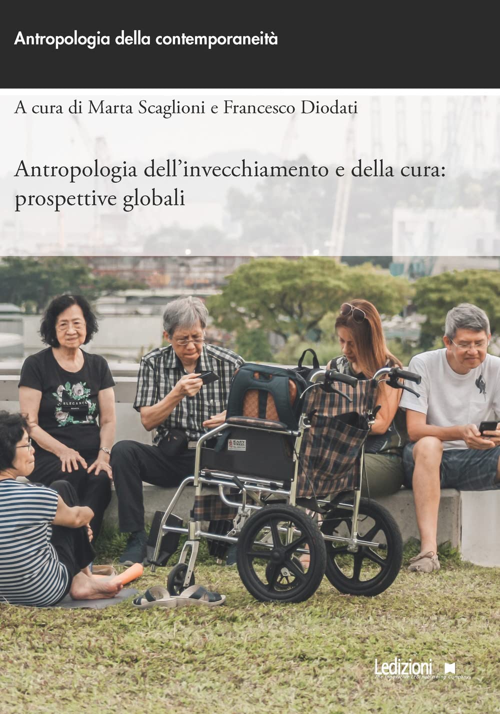 Antropologia dell'invecchiamento e della cura: prospettive globali book