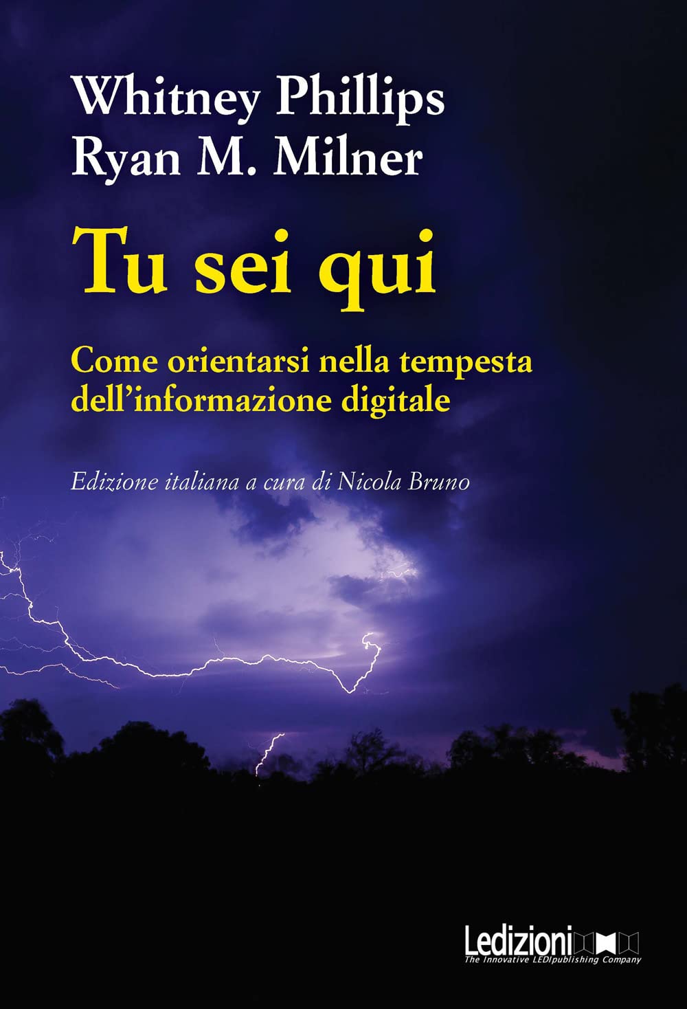 Tu sei qui. Come orientarsi nella tempesta dell'informazione digitale book