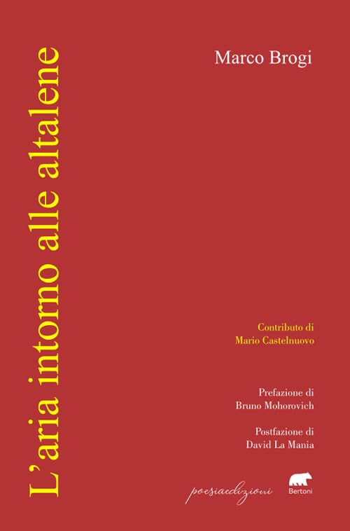 L' aria intorno alle altalene Poetry