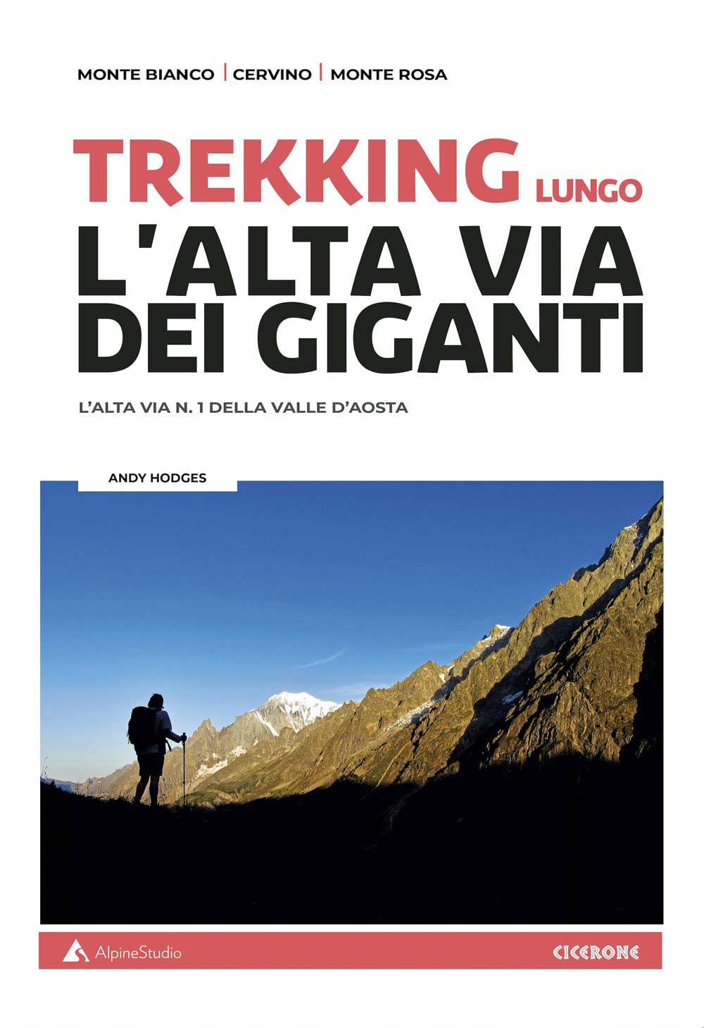 Trekking lungo l'alta Via dei Giganti. L'alta via n.1 della Valle d'Aosta. Con cartine (Guide) Leisure, Home & Garden