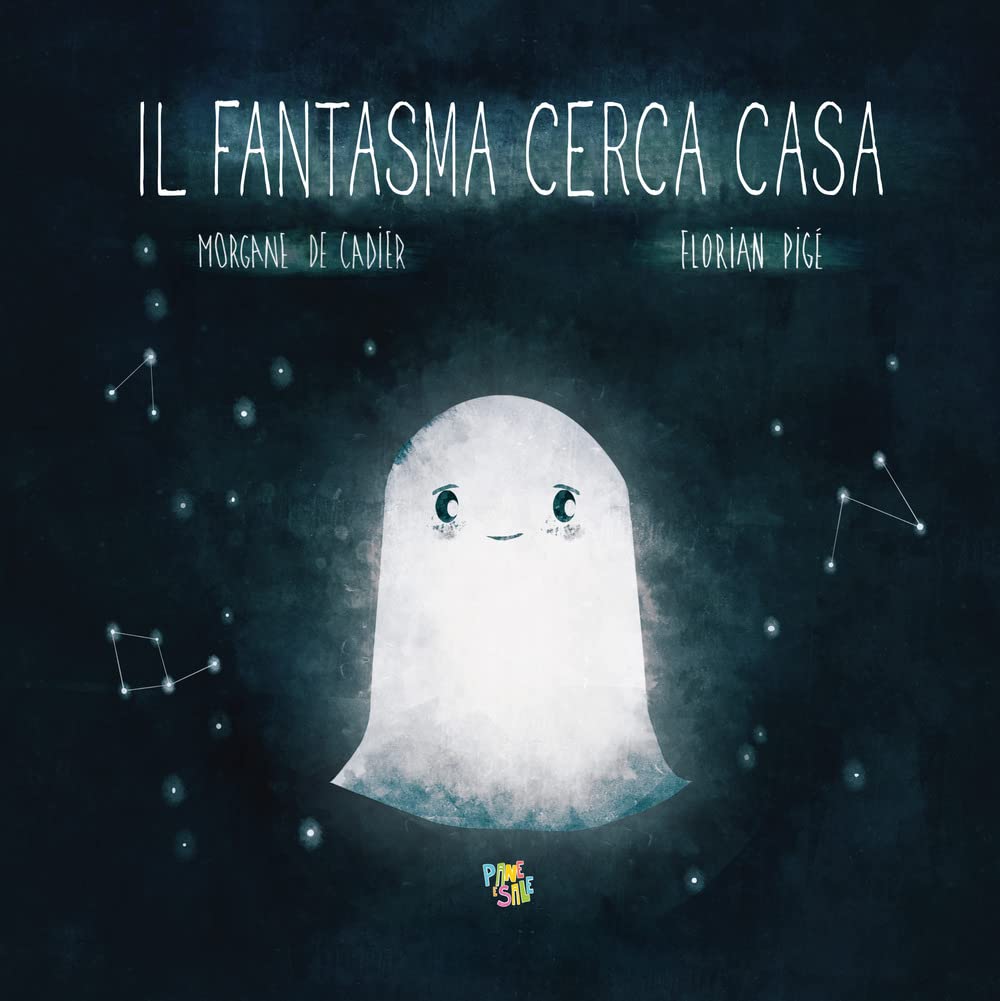Il fantasma cerca casa. Ediz. a colori book