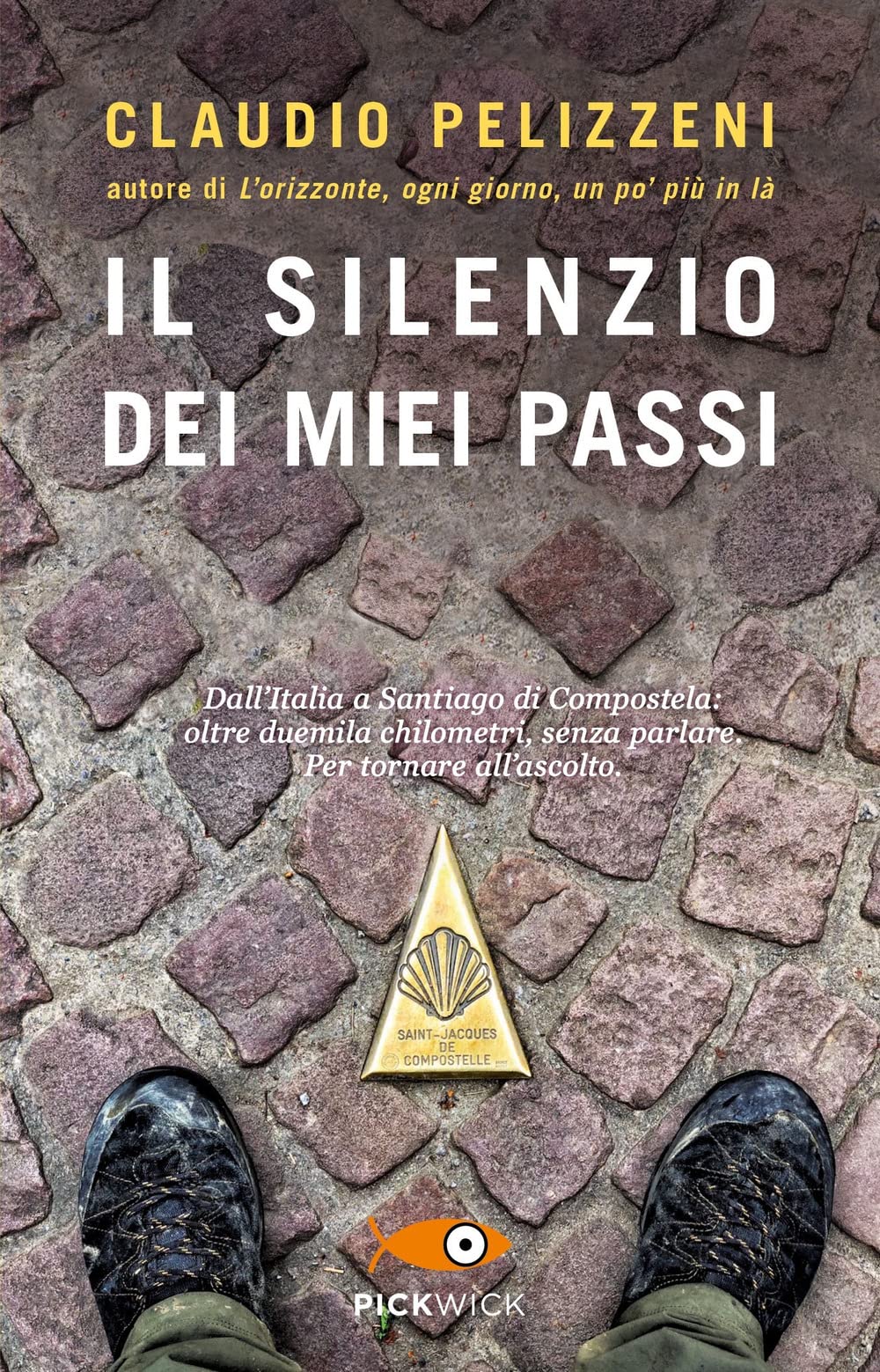 Il silenzio dei miei passi book