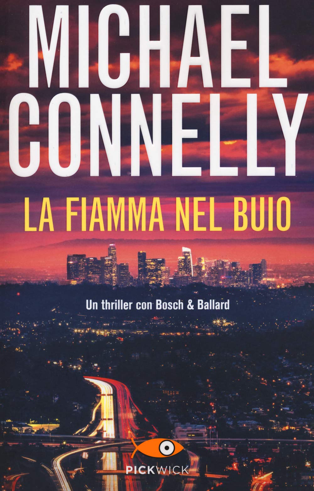 La fiamma nel buio book