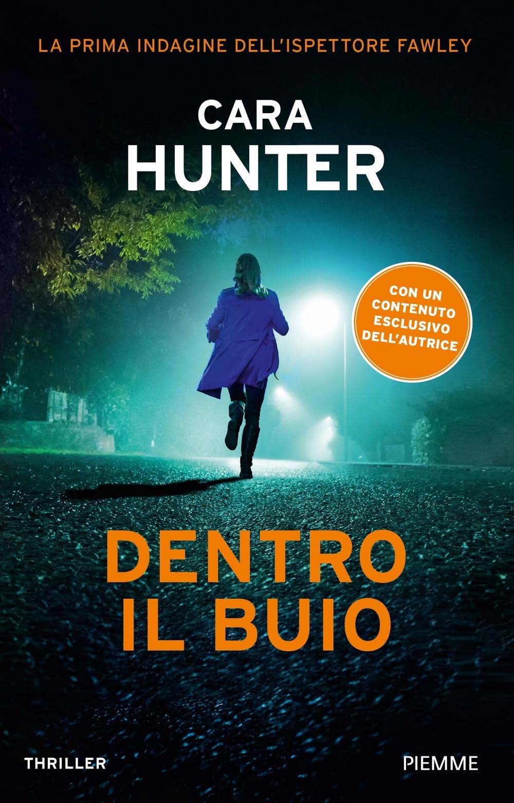 Dentro il buio. La prima indagine dell'ispettore Fawley Contemporary literature