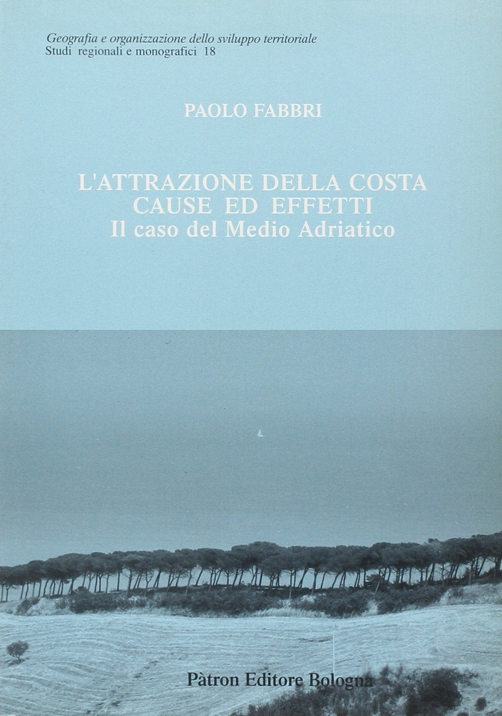 L'attrazione della costa: cause ed effetti. Il caso del medio Adriatico book