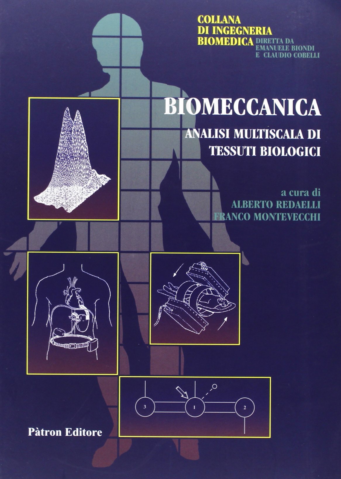 Biomeccanica. Analisi multiscelta di tessuti biologici (Ingegneria biomedica) Medicine