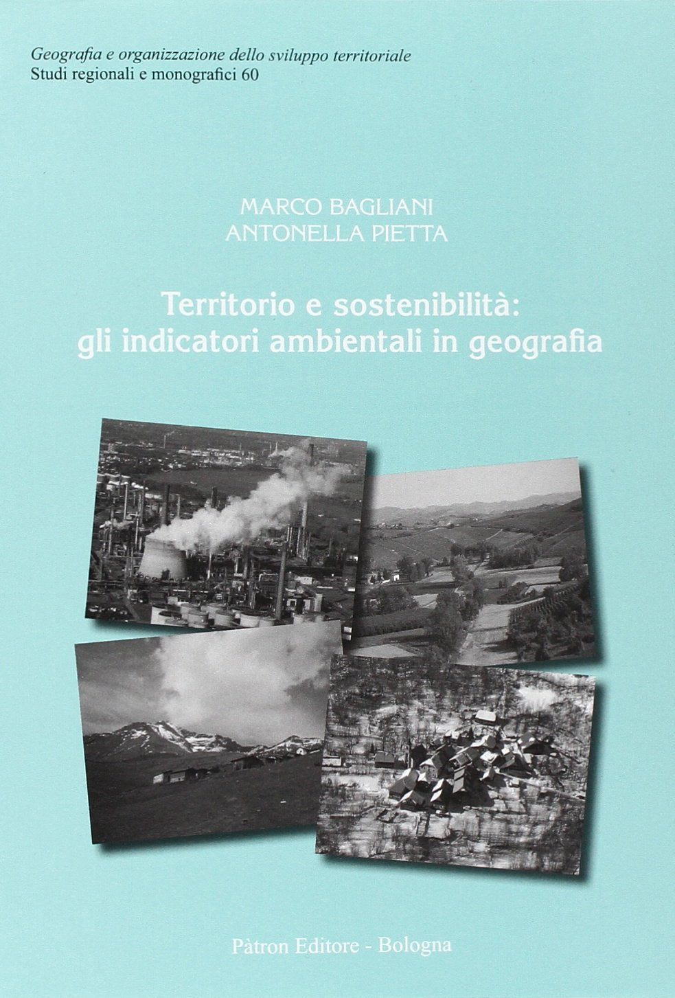 Territorio e sostenibilità. Gli indicatori ambientali in geografia book
