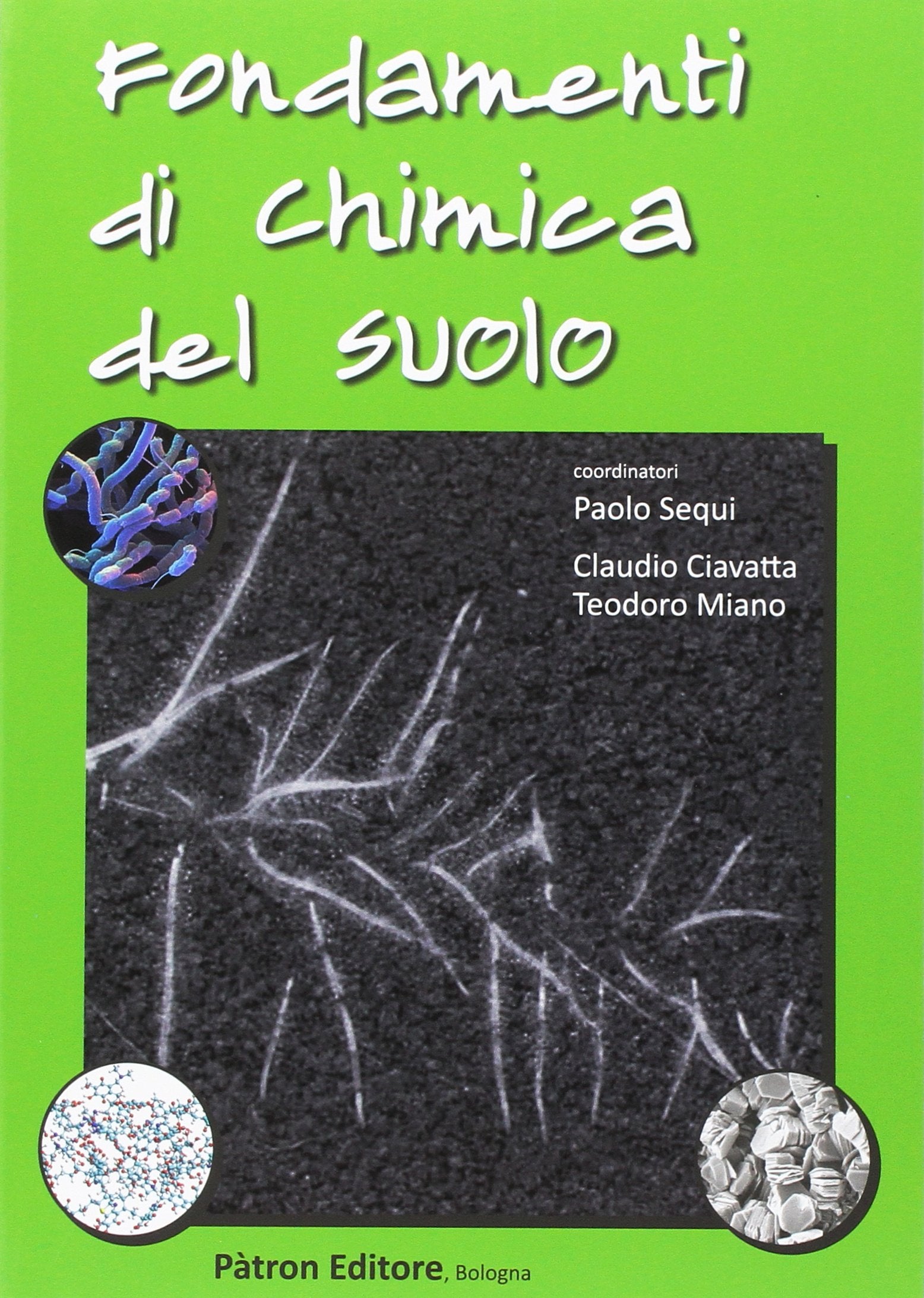 Fondamenti di chimica del suolo book