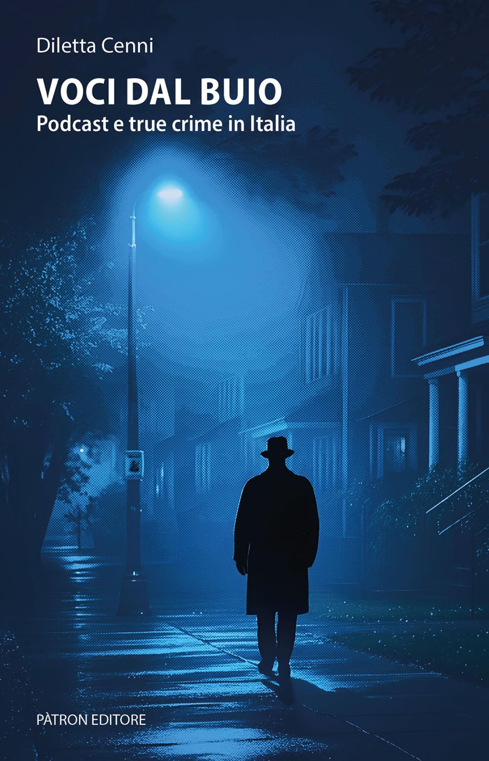 Voci dal buio. Podcast e true crime in Italia book
