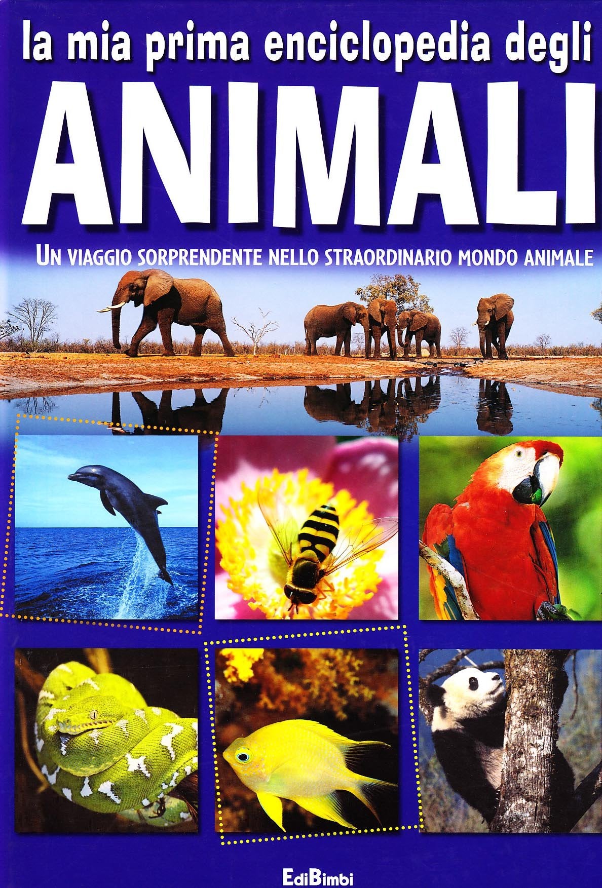 La mia prima enciclopedia degli animali. Ediz. illustrata book