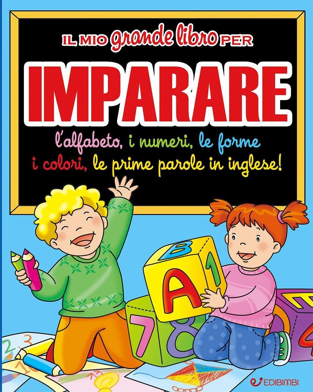 Il mio grande libro per imparare. L'alfabeto, i numeri, le forme, i colori, le prime parole in inglese! book